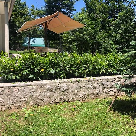 Mountain House Ivanova Korita Cetinje Extérieur photo